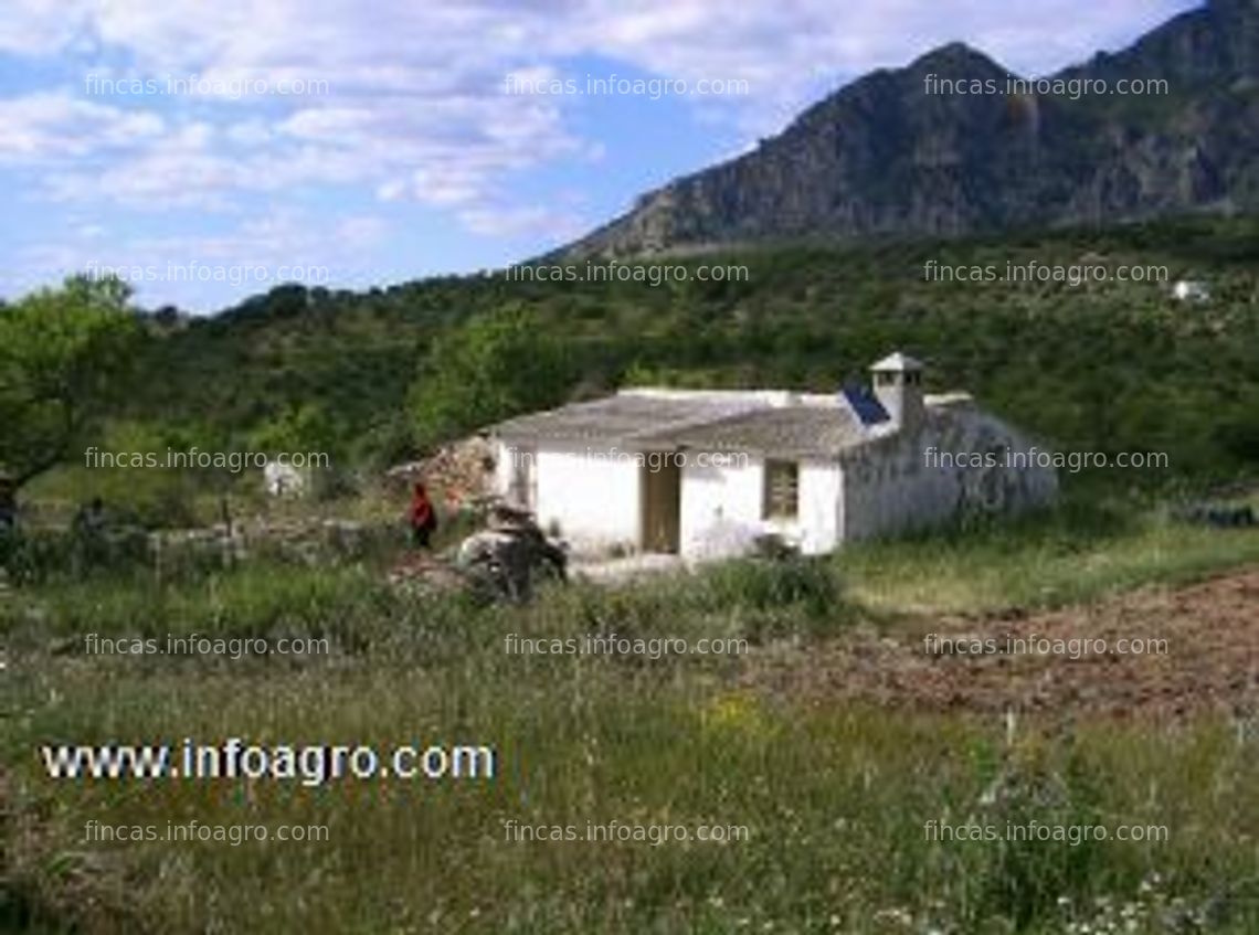 Fotos de Vendo finca casarabonela 56000 m2, 250 m2 urbanizables, 130000€