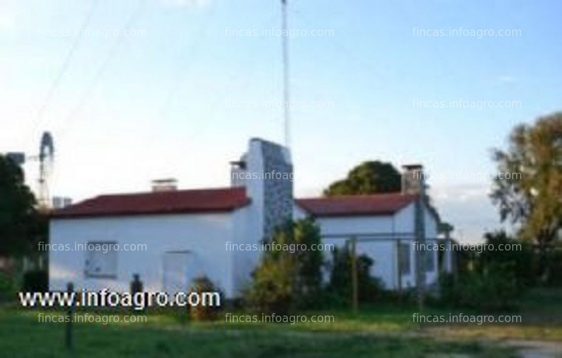 Fotos de A la venta imperdible inversión: campo mixto en la pampa (argentina)