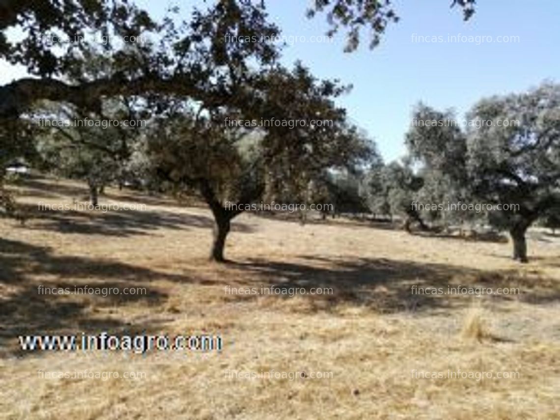 Fotos de En venta  finca rústica en monesterio ( badajoz )