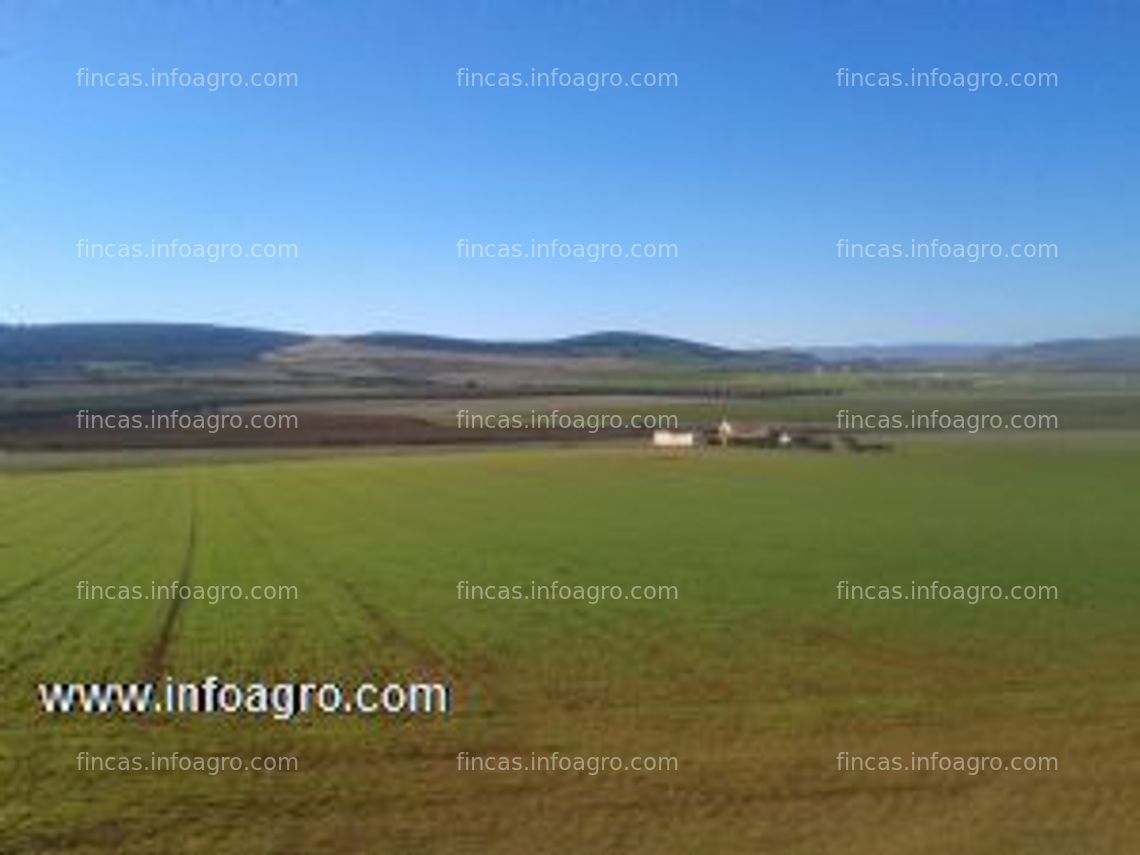 Fotos de Vendo de terreno rustico de labor en ciudad real