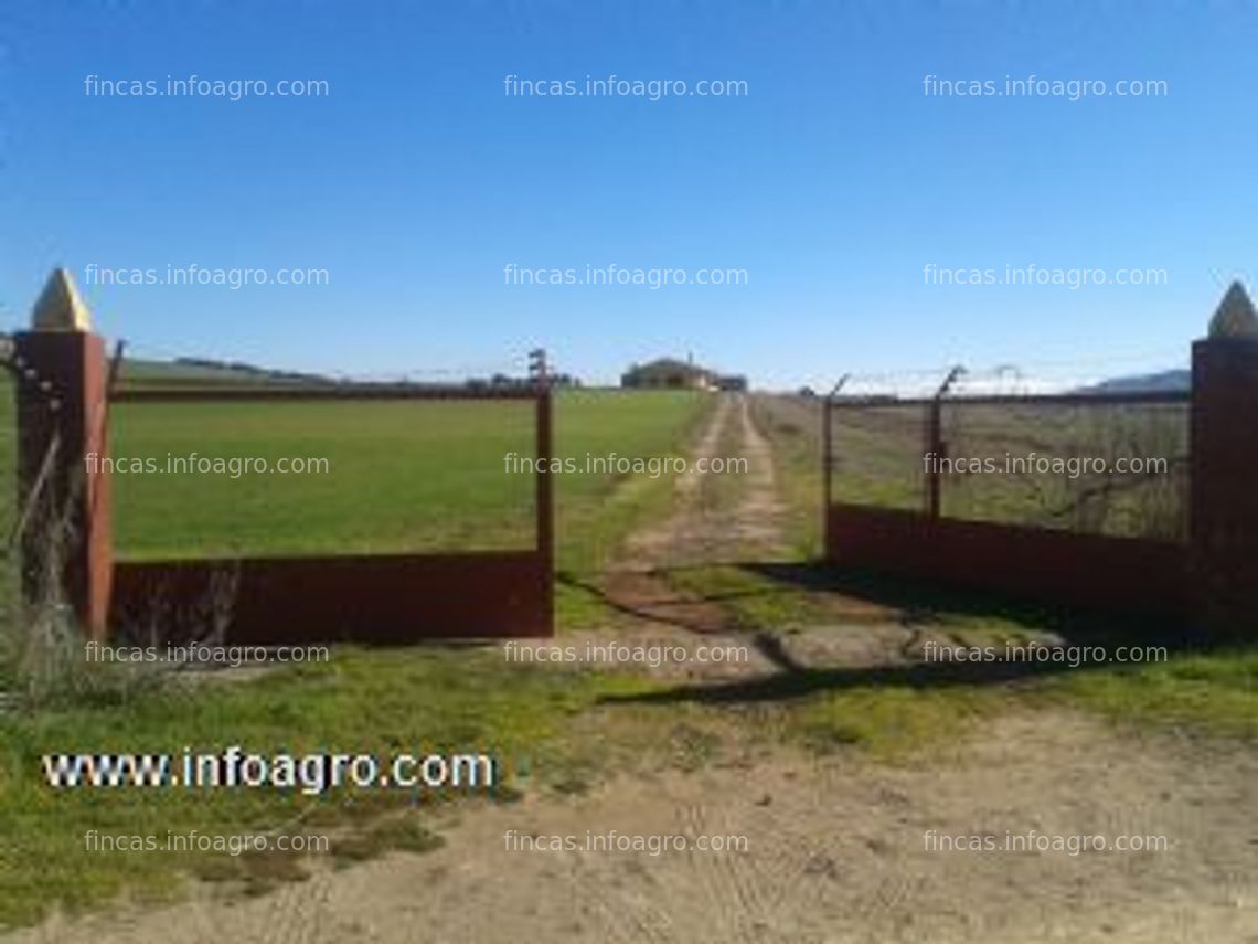 Fotos de Vendo de terreno rustico de labor en ciudad real