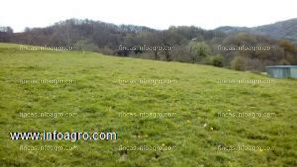 Fotos de A la venta finca edificable en asturias