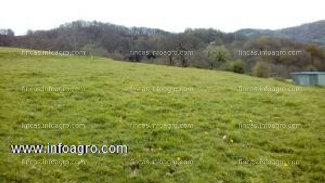 Fotos de A la venta finca edificable en asturias