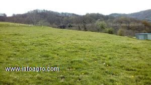 A la venta finca edificable en asturias