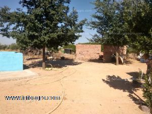 En venta casa de campo en terreno vallado de 1,5 hectareas