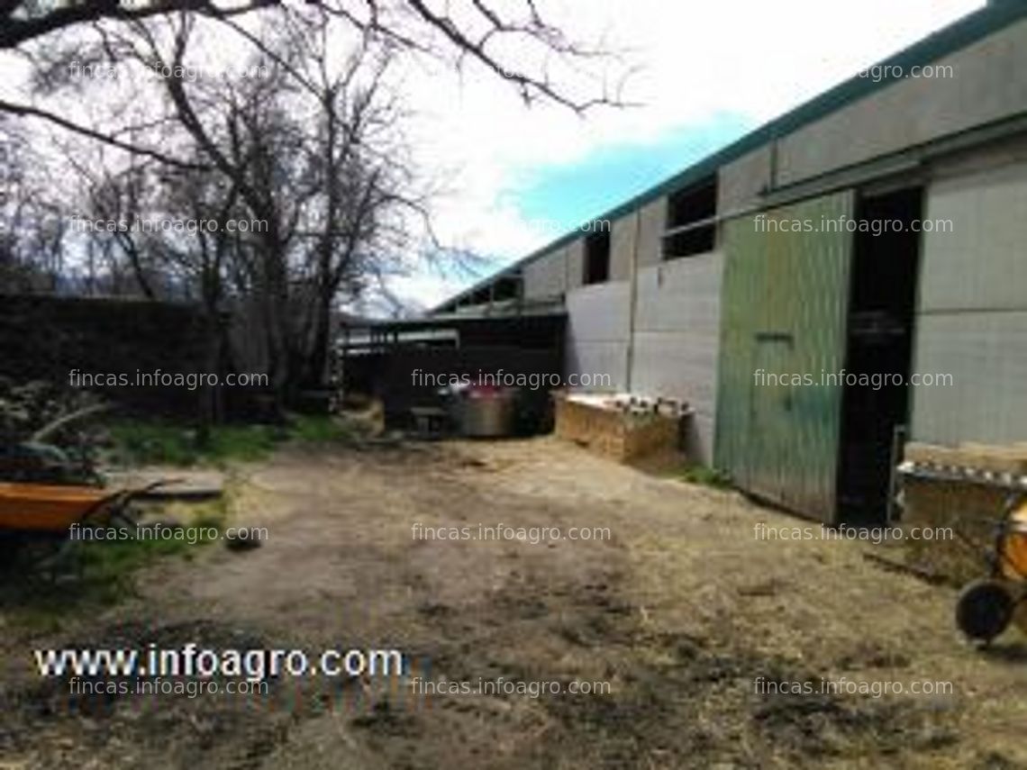 Fotos de En venta  explotación caprina lechera en el sur de la provincia de avila.