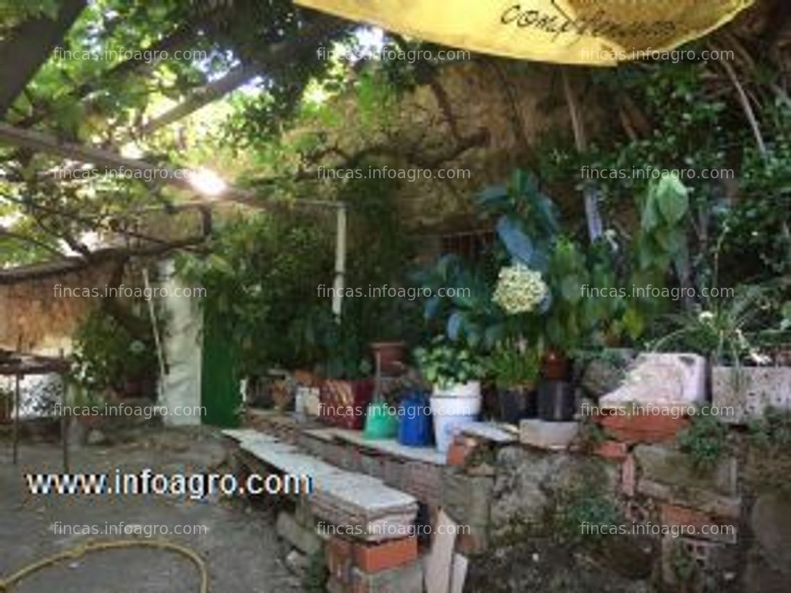 Fotos de Vendo finca de cerezos en plena producción, 5000 m2 aprox