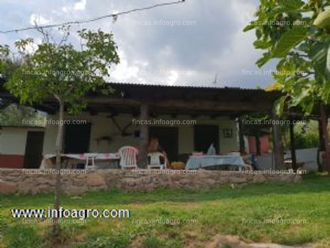 Fotos de En venta  finca en el valle del tiétar, cara sur de la sierra de gredos