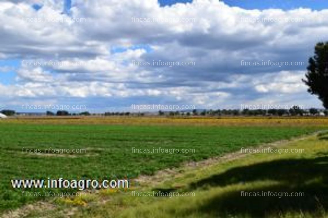 Fotos de A la venta rancho los montes en huamantla, tlax