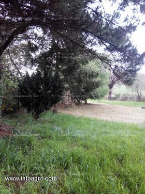 Se vende finca agrícola en llanera, asturias.