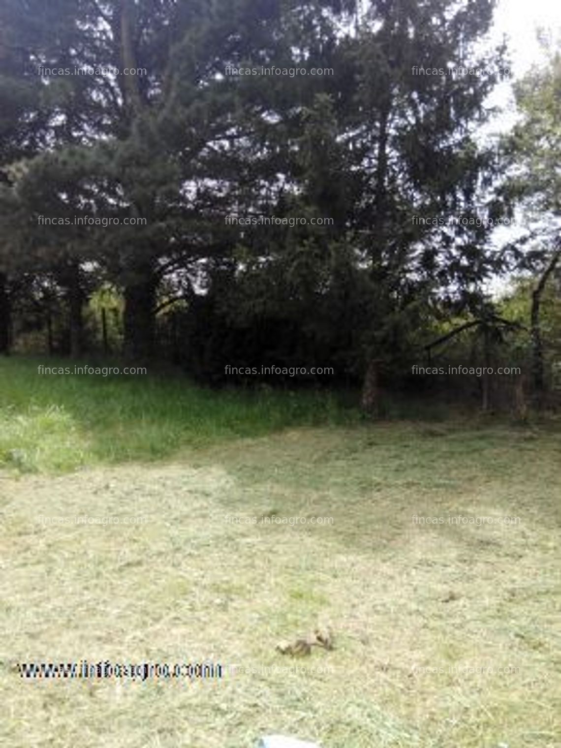 Fotos de Se vende finca agrícola en llanera, asturias.