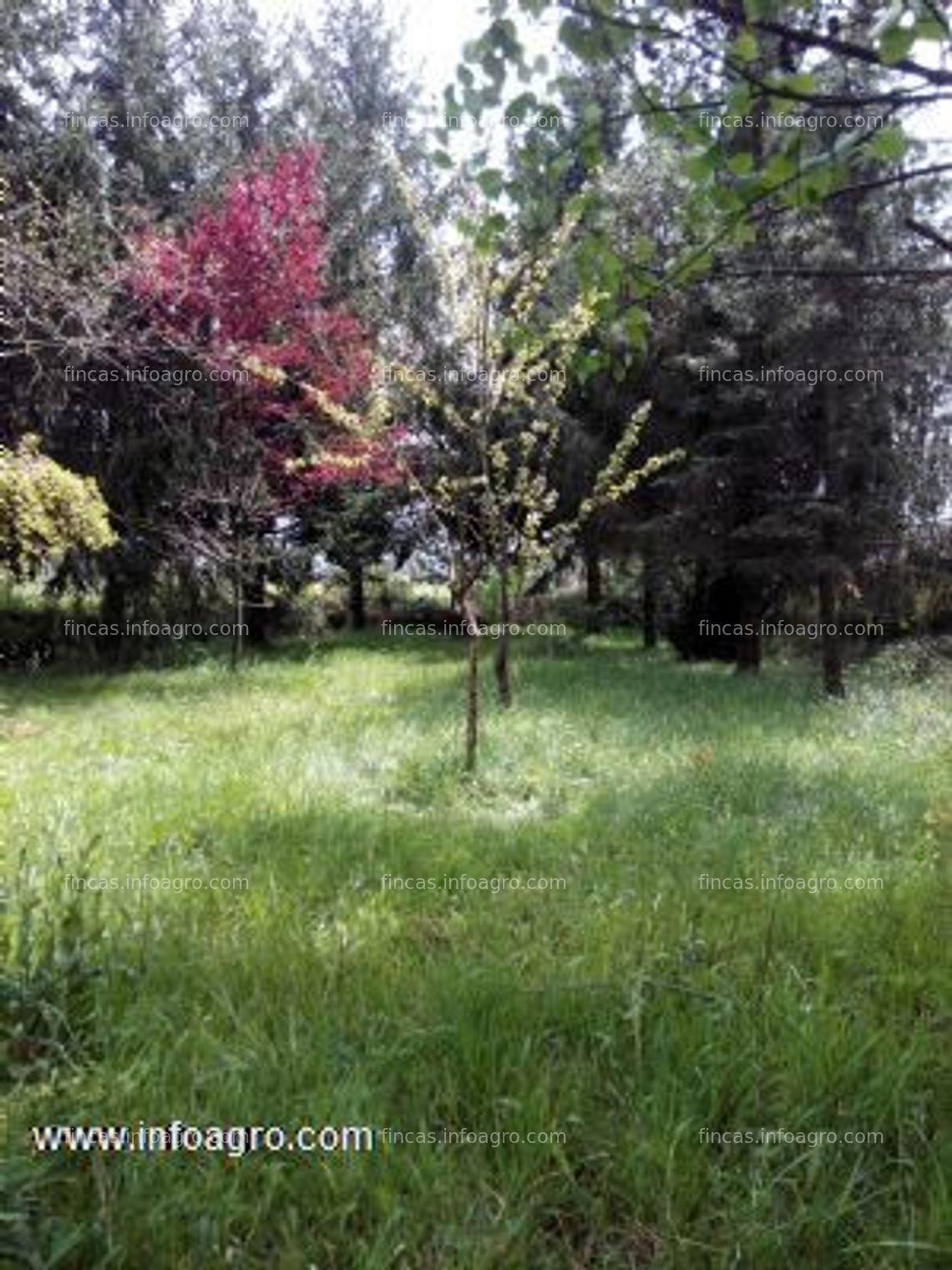 Fotos de Se vende finca agrícola en llanera, asturias.