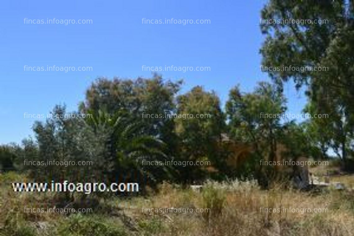 Fotos de En venta  finca 5000 mt2 rústica con casa
