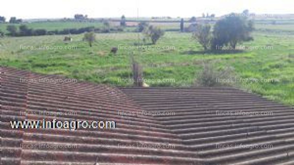 Fotos de Vendo parcela rusticade 1.1 ha. de regadio con luz y una edificacion. plana y facil acceso coche carretera sin asfaltar de 900 metros.