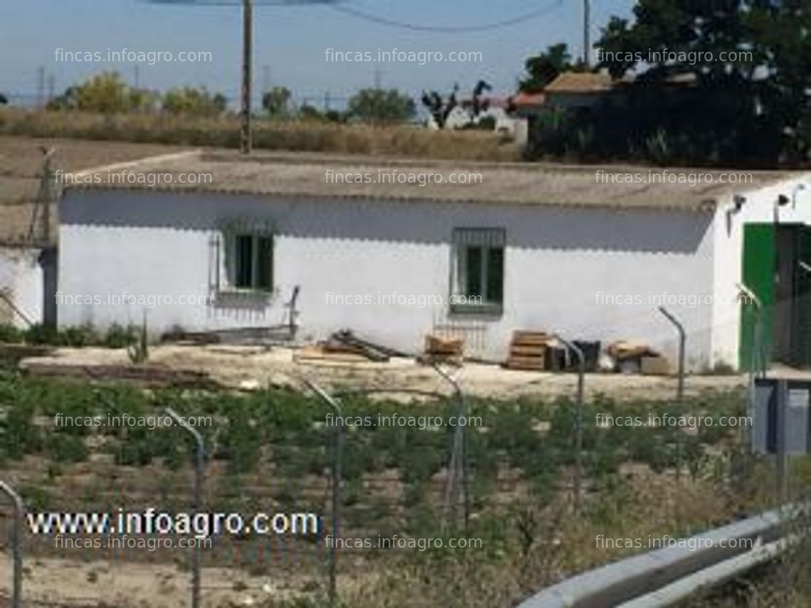 Fotos de A la venta finca de 3000 m2 en torrejón de velasco a 200 mts c404 y 800 de la n a42,vallada,pozo de agua, luz ,casa de aperos de 98m2 en escrituras.80000 euros .