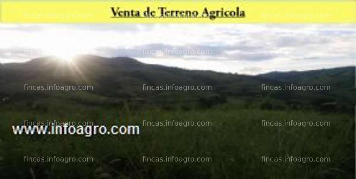 Fotos de A la venta de fundo ganadero y agricola