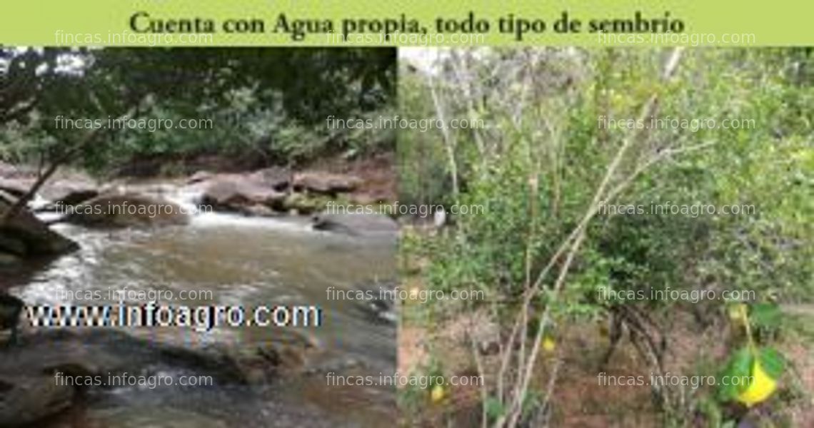 Fotos de A la venta de fundo ganadero y agricola