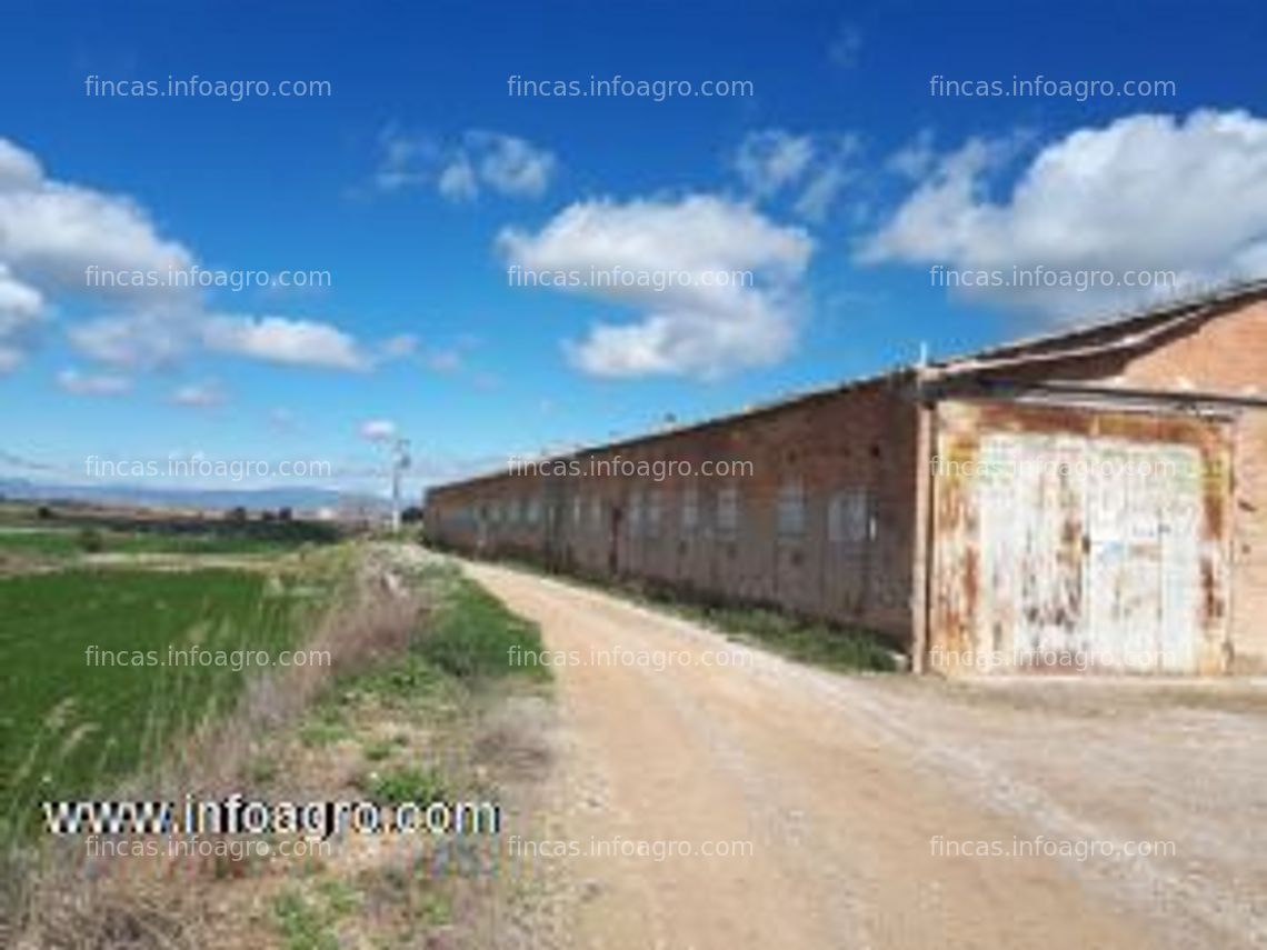 Fotos de A la venta granja avícola 20.000 cabezas en els alamús con finca (lleida)