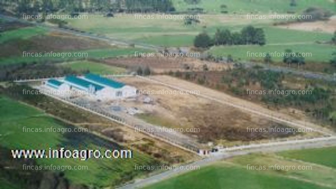 Fotos de A la venta granja de conejos a pleno funcionamiento