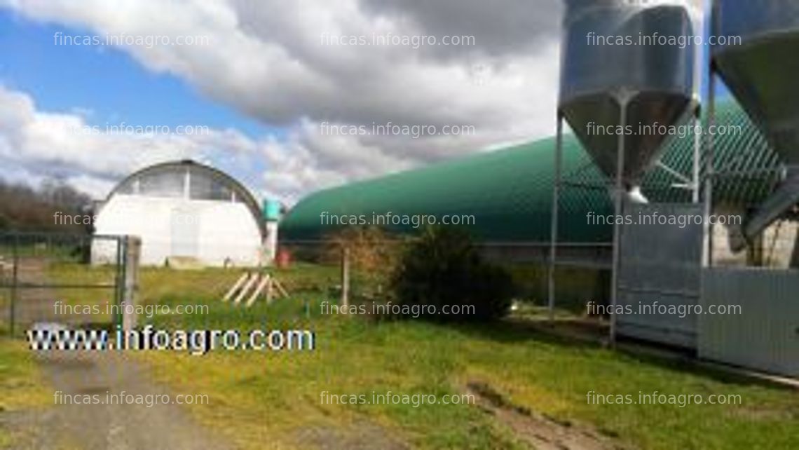 Fotos de A la venta granja de conejos a pleno funcionamiento