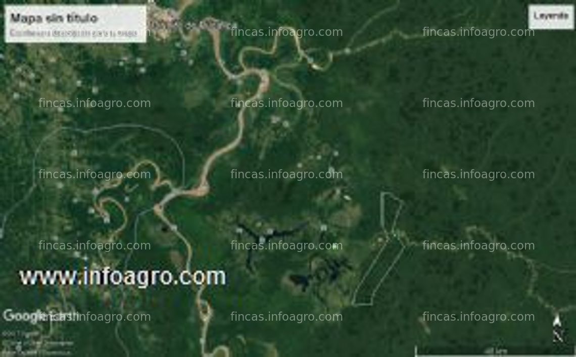 Fotos de A la venta transfiero bosque de conservacion 11,227 hectareas