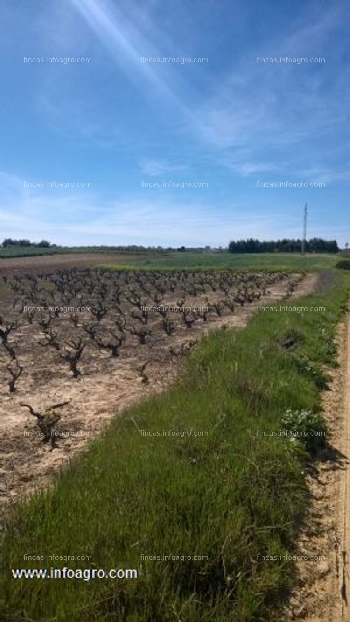 Fotos de A la venta terreno rustico  en villalba del alcor