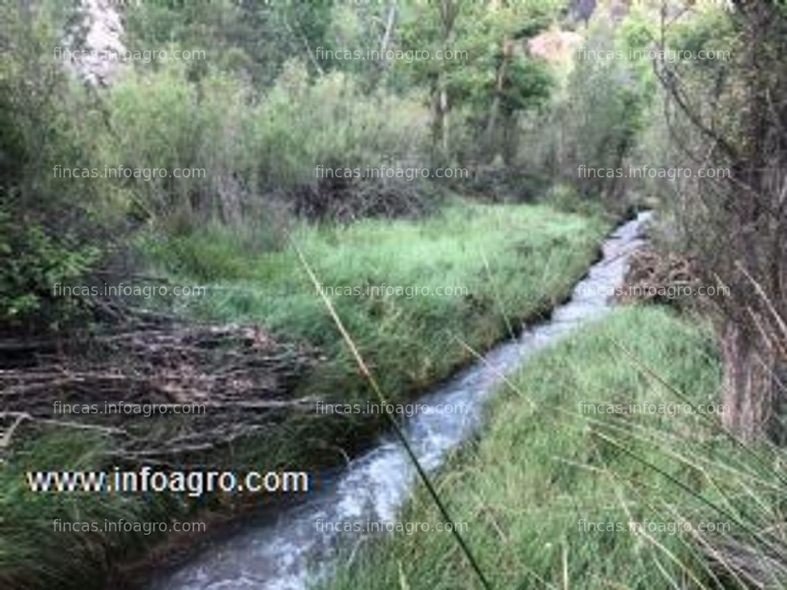 Fotos de A la venta bonita finca