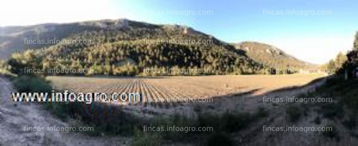 Fotos de A la venta bonita finca