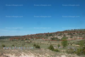 En venta  finca de 50000 mtr cuadrados muy interesante
