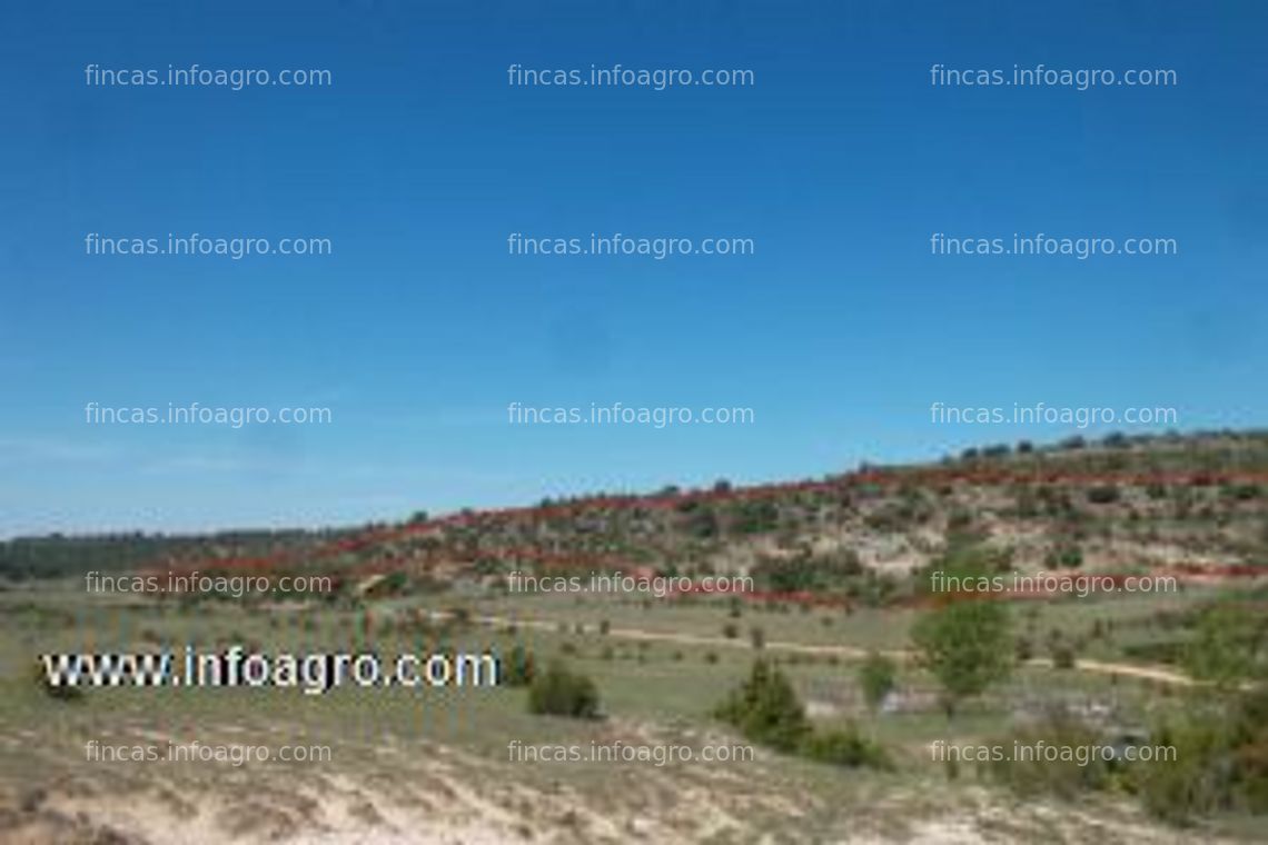 Fotos de En venta  finca de 50000 mtr cuadrados muy interesante