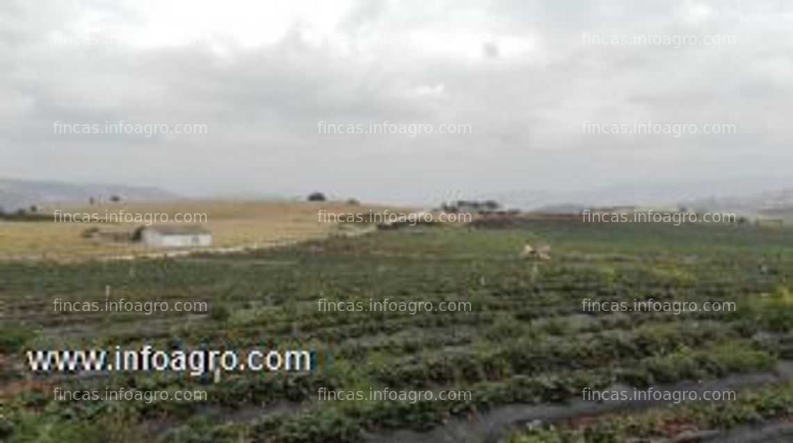 Fotos de Vendo finca agricola ganadera caprina  con riego  en tota boyaca inf: 3142475431