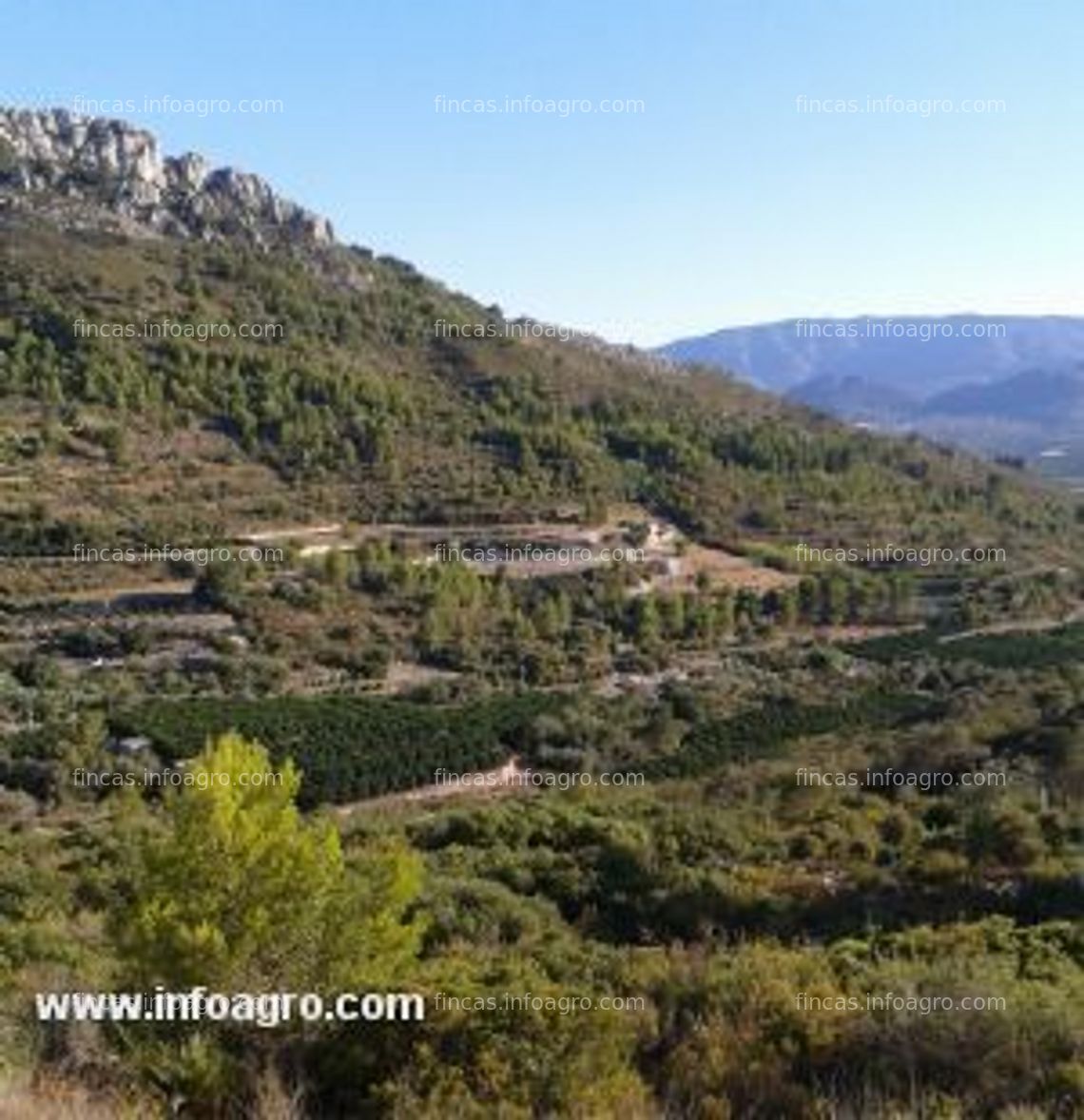 Fotos de Se vende finca rústica de 18.000m2 en rafol de almunia  ( alicante )