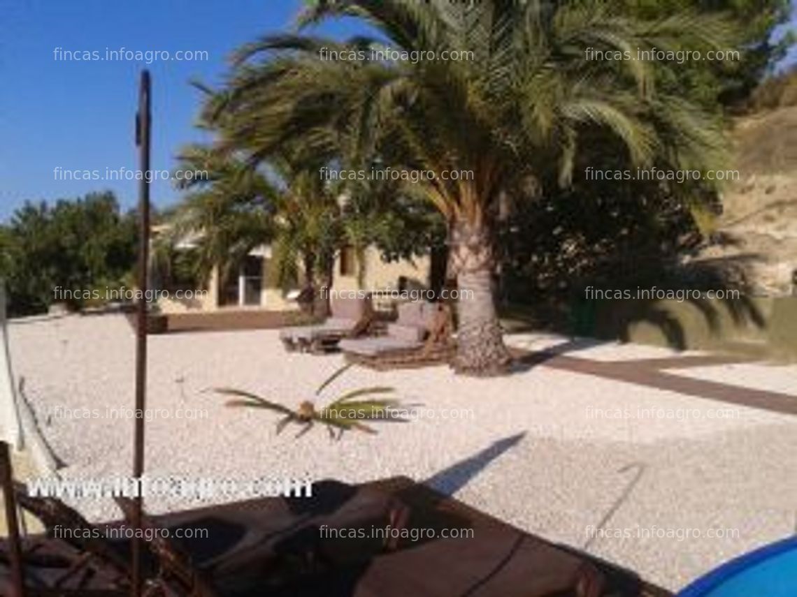 Fotos de Se vende finca rústica de 18.000m2 en rafol de almunia  ( alicante )