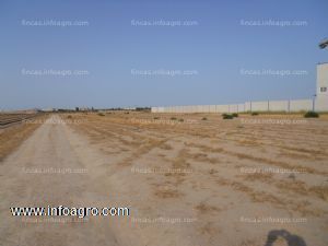 Se vende parcela agrícola de 7800 metros cuadrados de regadio en cartagena.