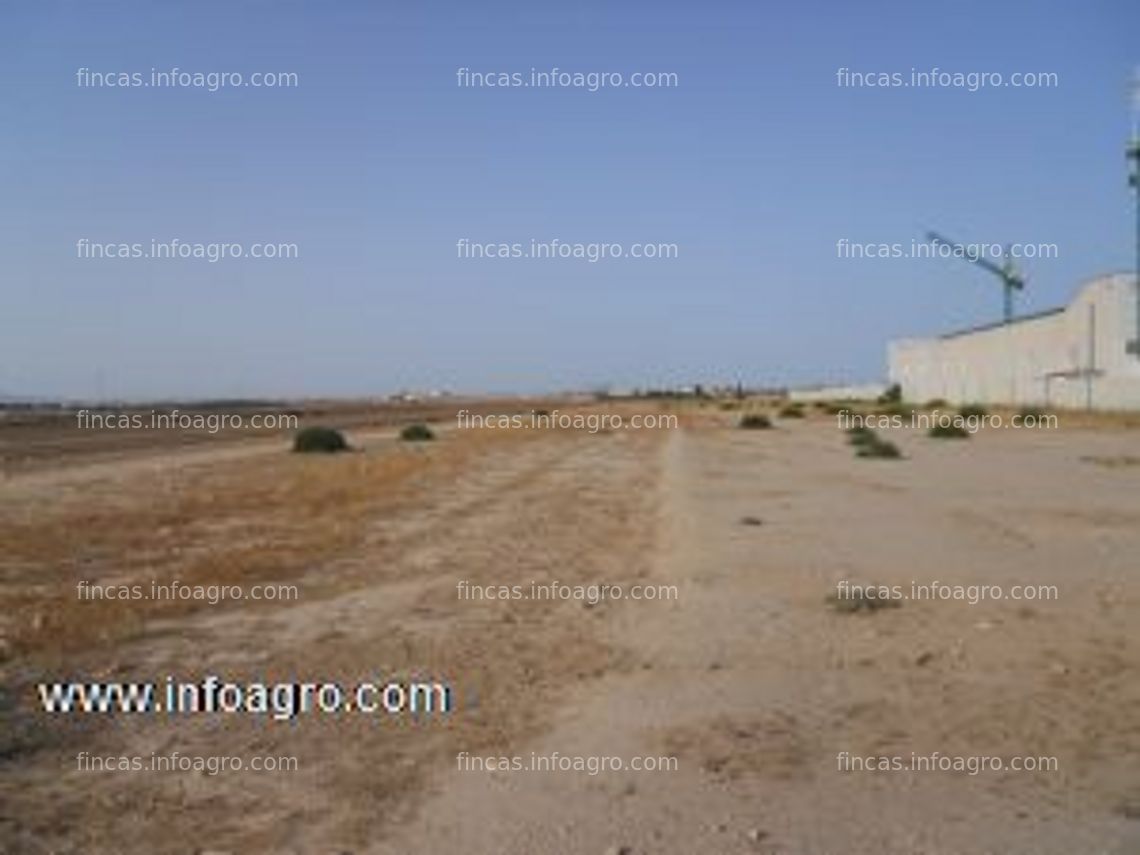 Fotos de Se vende parcela agrícola de 7800 metros cuadrados de regadio en cartagena.