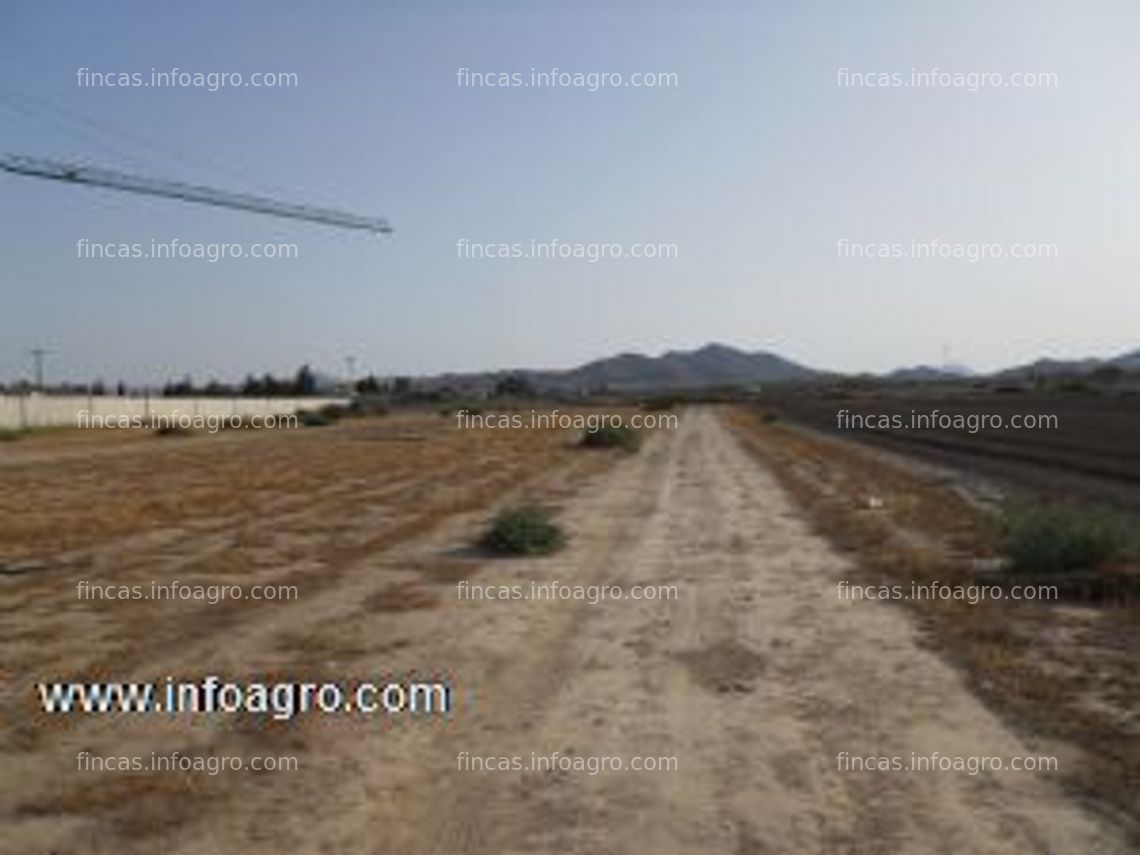 Fotos de Se vende parcela agrícola de 7800 metros cuadrados de regadio en cartagena.