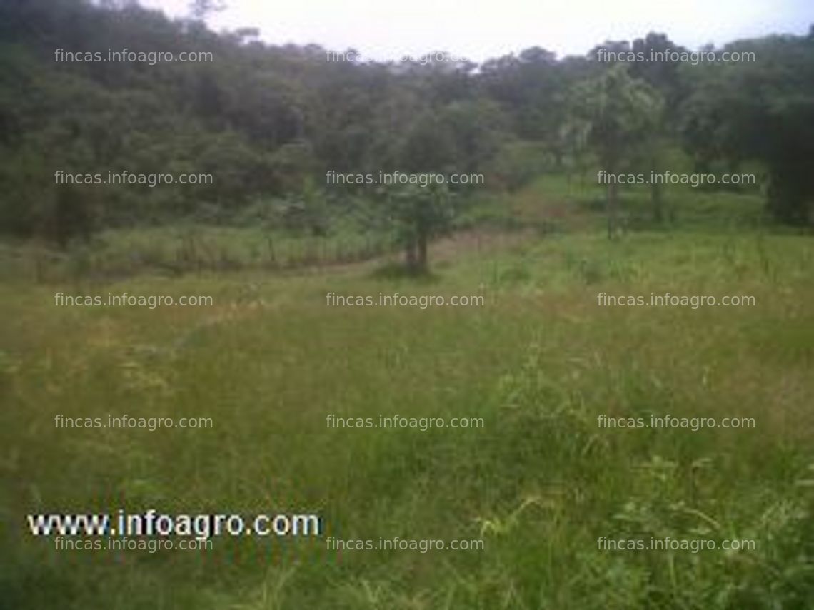 Fotos de En venta  4 hectareas en chiriqui playa de boca chica horconcitos 10 dolares el metro