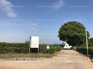 A la venta de terreno agrícola en chincha alta panamericana sur km. 214 chincha alta, chincha, ica  20.66 ha