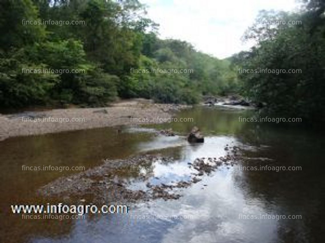 Fotos de Se vende finca agricola con agua