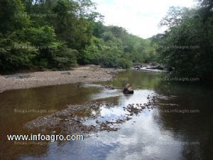 Se vende finca agricola con agua