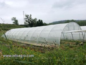 En venta de invernaderos