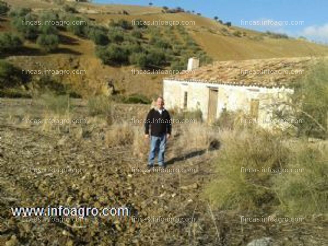 Fotos de En venta  finca de 30 fanegas de secano en villanueva de la concepción.