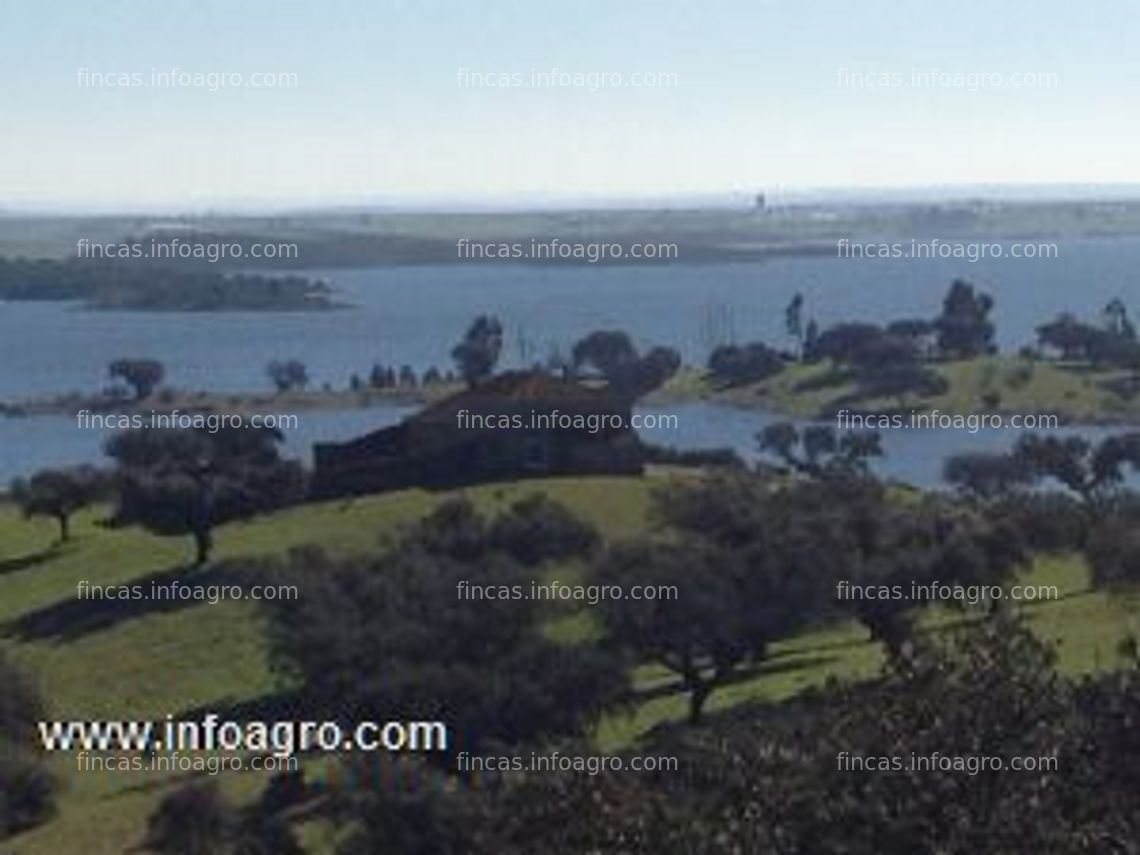 Fotos de Se vende 300 ha alredor del lago de alqueva portugal