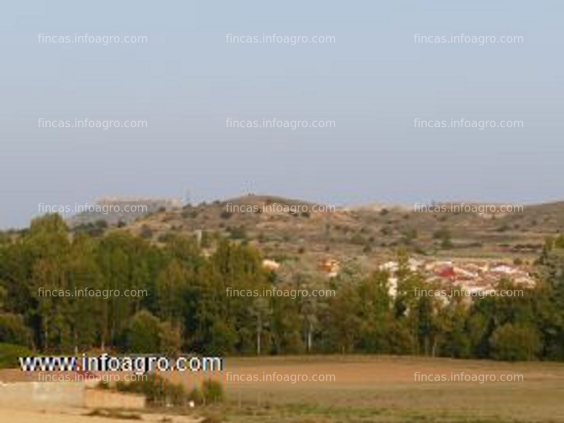 Fotos de Vendo cinco hectáreas en fincas de secano, regadío, viñas, huertas, para vivir de lo que te dé la tierra