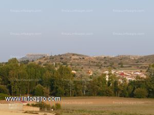 Vendo cinco hectáreas en fincas de secano, regadío, viñas, huertas, para vivir de lo que te dé la tierra