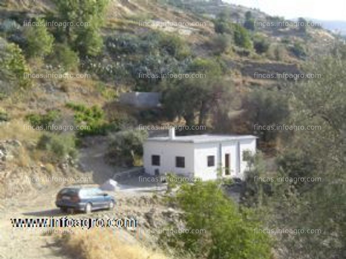 Fotos de A la venta finca+casa  próxima al pueblo de cañar (la alpujarra) granada