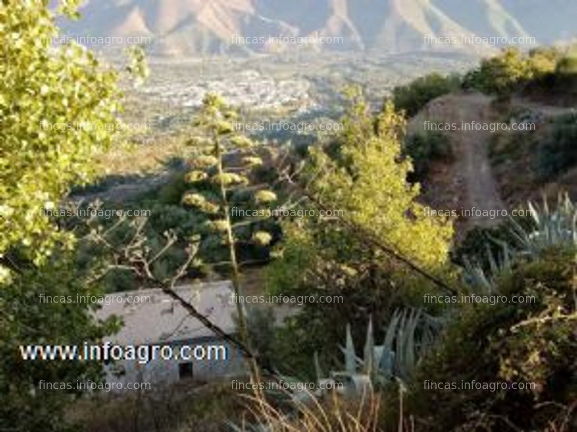 Fotos de A la venta finca+casa  próxima al pueblo de cañar (la alpujarra) granada