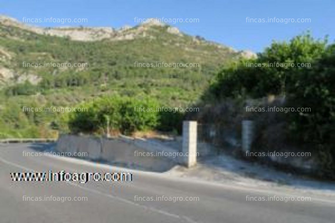 Fotos de Vendo terreno rustico en llosa de camacho