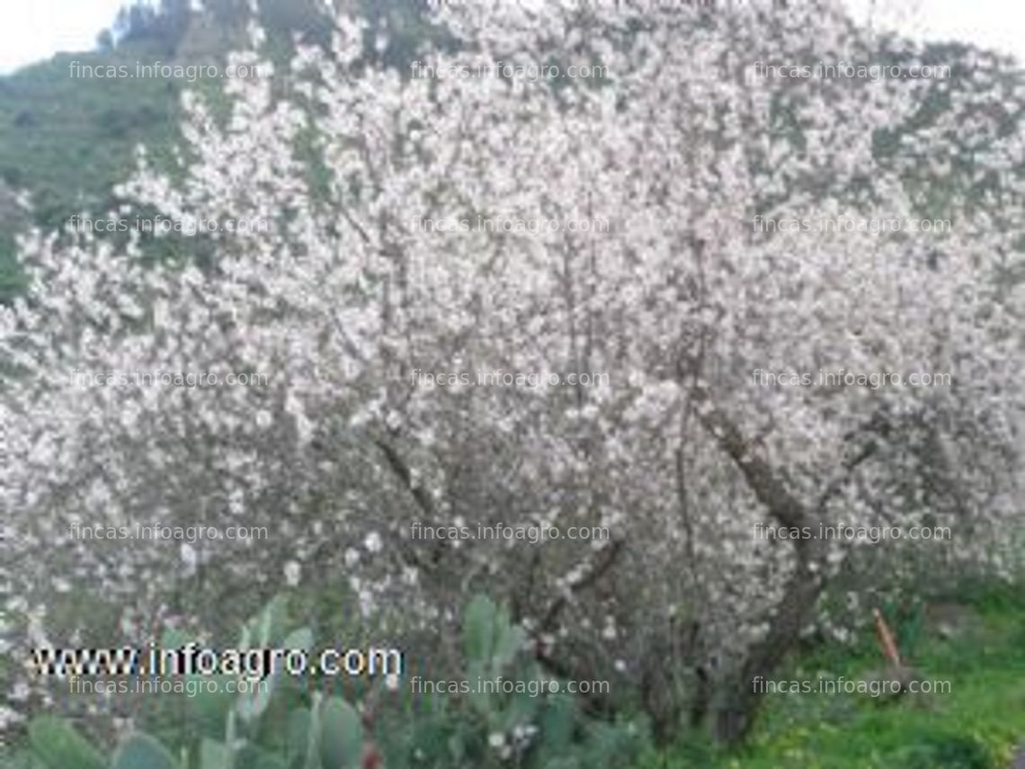 Fotos de En venta  finca rustica