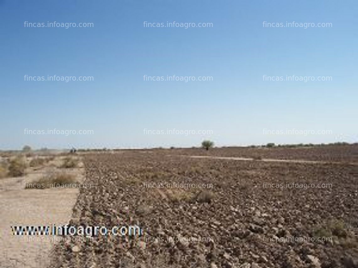 Fotos de A la venta finca en argentina provincia de san juan 157 hectáreas 25 áreas